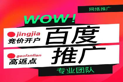 百度竞价运营案例剖析：提升转化率的秘诀